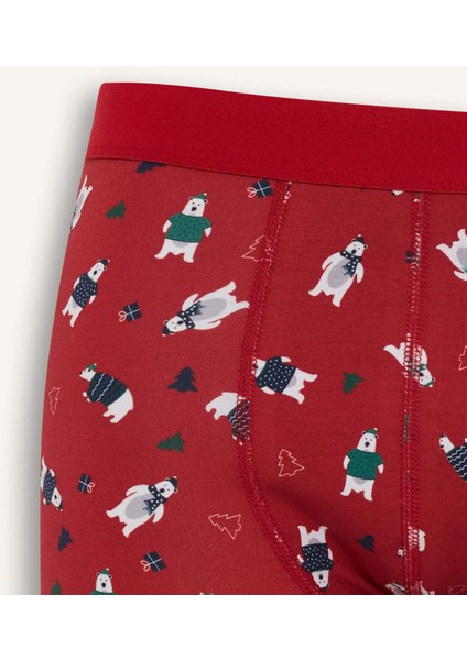 Yılbaşı Temalı Regular Fit Boxer F9937AX25WN modelleri