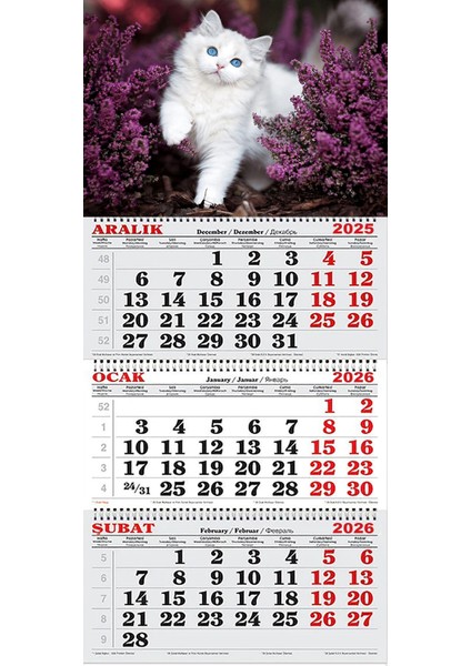 2026 Yılı Gemici Takvimi-Mor Çiçekler Içinde Kedi