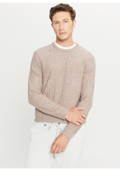 Bisiklet Yaka Standart Vizon Erkek Kazak ACE049261479_VIZ modelleri