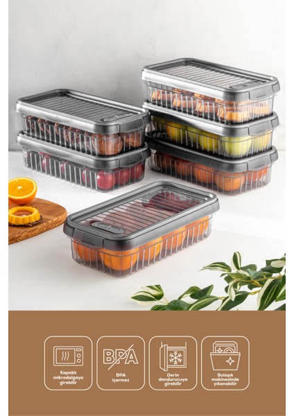 6lı Kendinden Çizgili Kilitli Kapaklı Saklama Kabı Seti 2 L Antrasit indirimleri