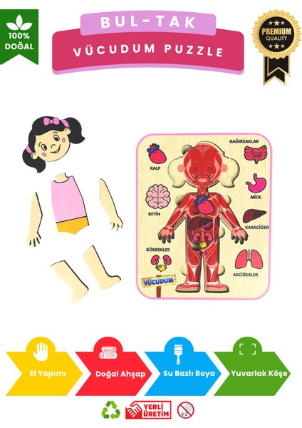 Vücudumu Keşfediyorum – Kız Çocuk Vücut ve Organlar Ahşap Puzzle Oyuncak modelleri