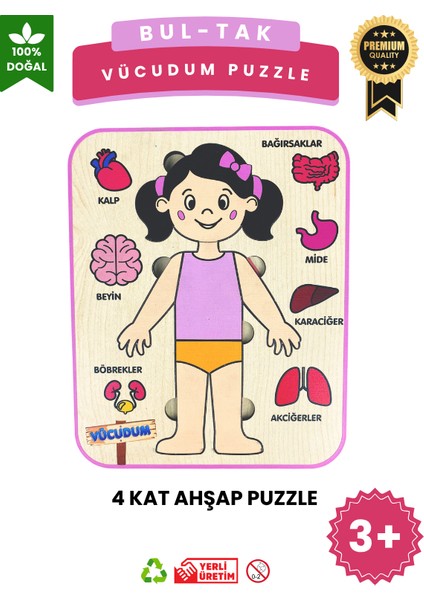 Vücudumu Keşfediyorum – Kız Çocuk Vücut ve Organlar Ahşap Puzzle Oyuncak fırsatları