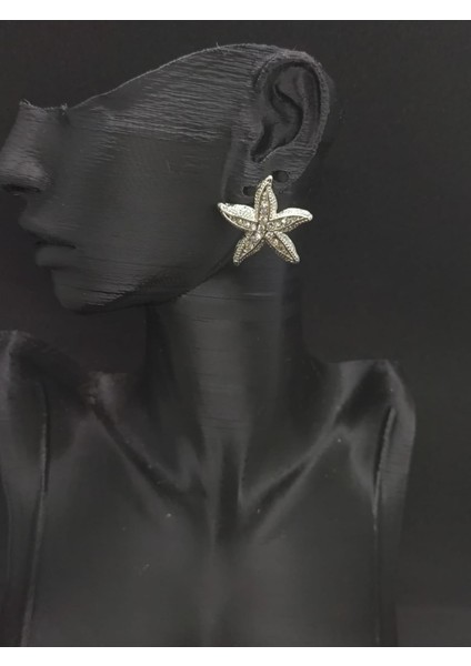 Yıldız Model Zirkon Taşlı Küpe
