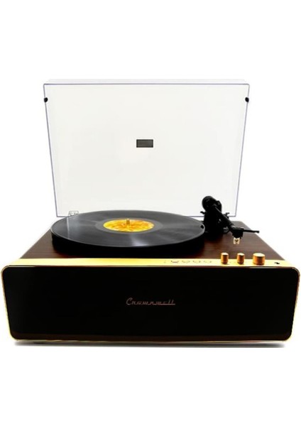 Pikap Vegas Plus Gold LED Panel Ahşap Plakçalar CW016