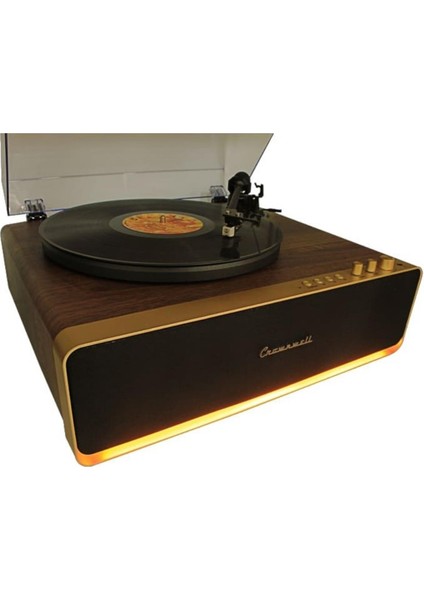 Pikap Vegas Plus Gold LED Panel Ahşap Plakçalar CW016 fiyatları