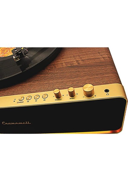 Pikap Vegas Plus Gold LED Panel Ahşap Plakçalar CW016 indirimleri