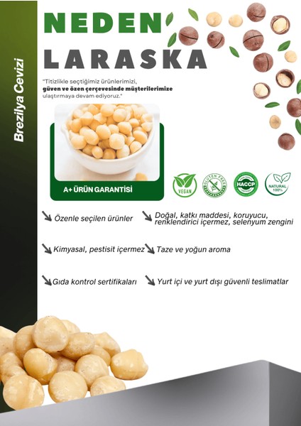 Makedemya Fındığı 100G Macadamia Nuts fiyatları