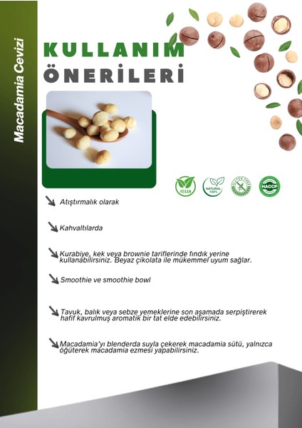 Makedemya Fındığı 100G Macadamia Nuts modelleri