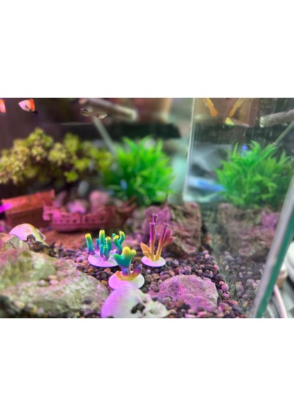 Akvaryum Mercan Dekor Seti – 3’lü Renk Geçişli Mercan Modelleri (Karışık Renk Gönderim) modelleri