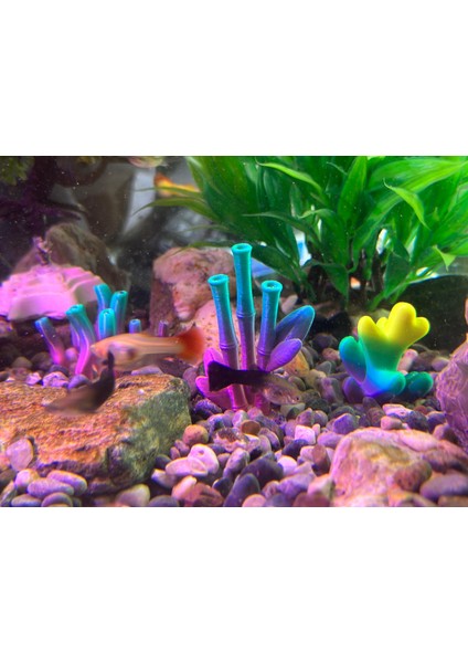 Akvaryum Mercan Dekor Seti – 3’lü Renk Geçişli Mercan Modelleri (Karışık Renk Gönderim) fırsatları