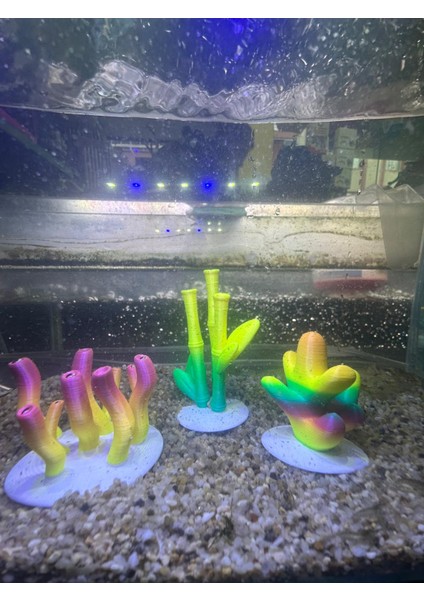 Akvaryum Mercan Dekor Seti – 3’lü Renk Geçişli Mercan Modelleri (Karışık Renk Gönderim) indirimleri