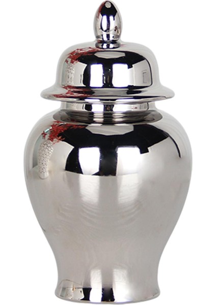 Zencefil Kavanozu Depolama Tankı Ev Düğünleri Için Seramik (Yurt Dışından)