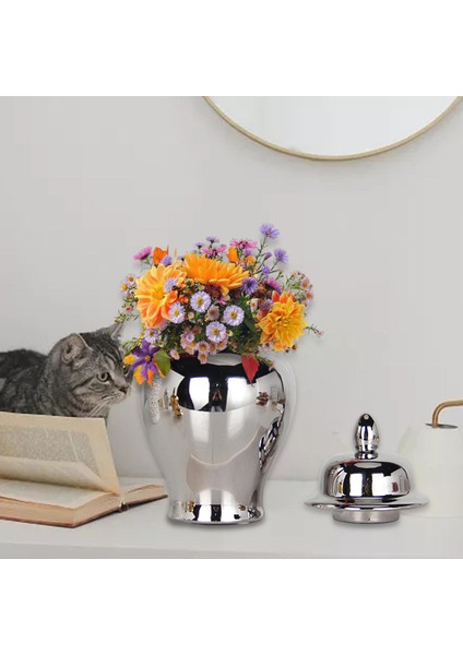 Zencefil Kavanozu Depolama Tankı Ev Düğünleri Için Seramik (Yurt Dışından) fiyatları