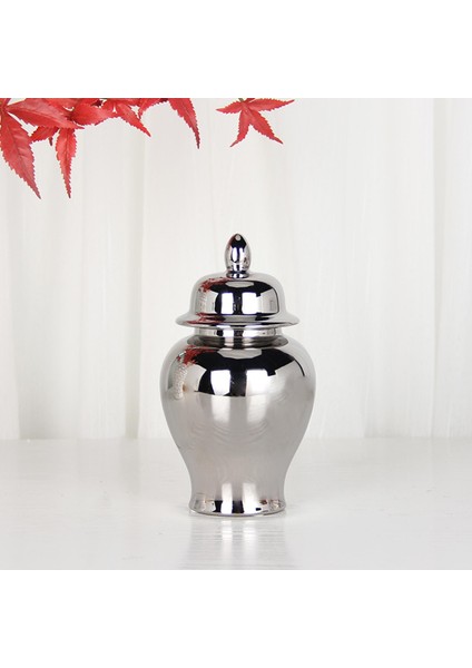 Zencefil Kavanozu Depolama Tankı Ev Düğünleri Için Seramik (Yurt Dışından) indirimleri