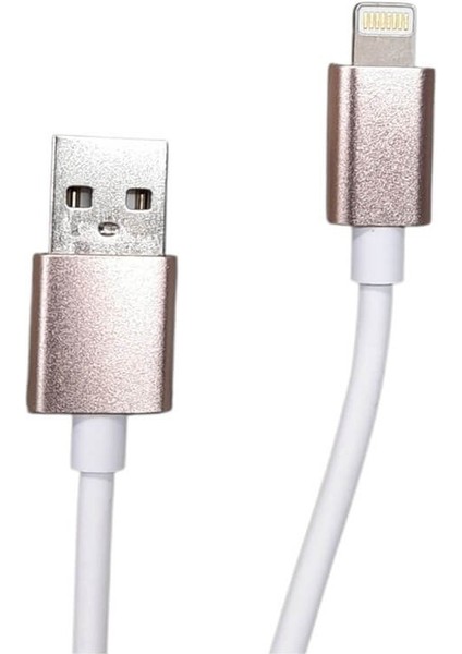 iPhone 7 8 x Xs Xr 11 12 13 14 Pro Max Plus Hızlı Şarj Kablosu 2 Amper USB To Lightning - Gold