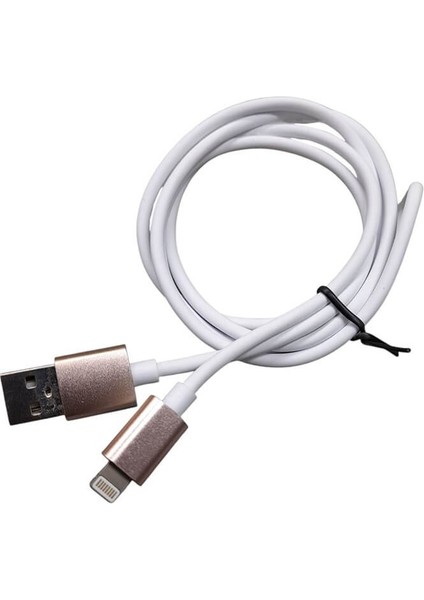iPhone 7 8 x Xs Xr 11 12 13 14 Pro Max Plus Hızlı Şarj Kablosu 2 Amper USB To Lightning - Gold modelleri