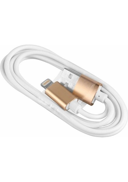iPhone 7 8 x Xs Xr 11 12 13 14 Pro Max Plus Hızlı Şarj Kablosu 2 Amper USB To Lightning - Gold fırsatları