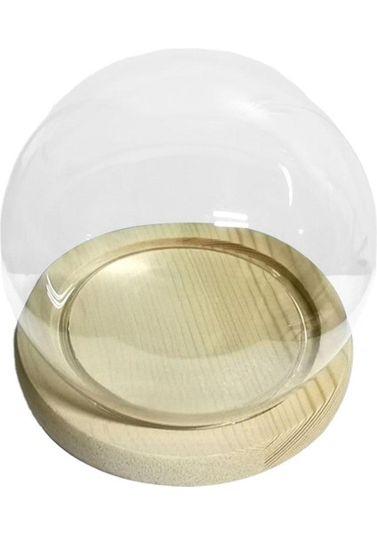 Cam Cloche Çan Kavanoz Çiçek Ahşap Taban 12CM (Yurt Dışından)