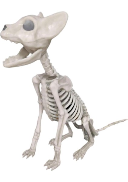 I Cadılar I Dekorasyon Malzemesi Çok Fonksiyonlu Ği (Yurt Dışından)