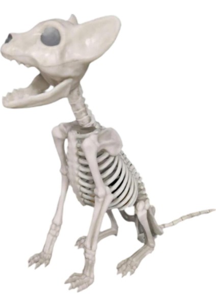 I Cadılar I Dekorasyon Malzemesi Çok Fonksiyonlu Ği (Yurt Dışından) fiyatları