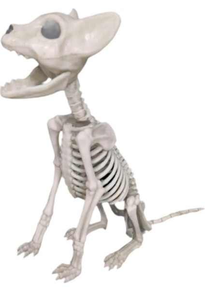 I Cadılar I Dekorasyon Malzemesi Çok Fonksiyonlu Ği (Yurt Dışından) fırsatları