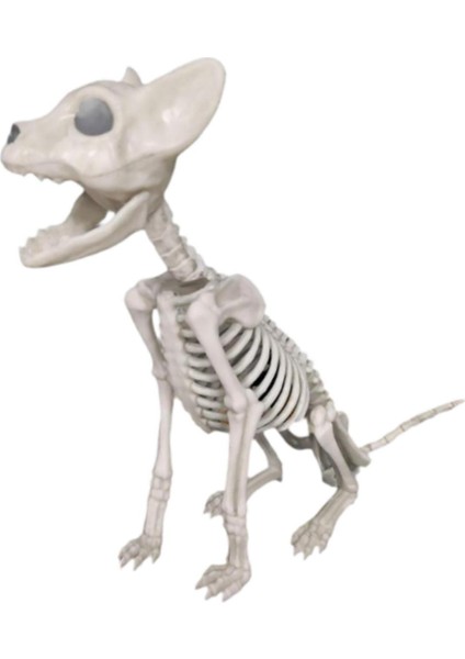 I Cadılar I Dekorasyon Malzemesi Çok Fonksiyonlu Ği (Yurt Dışından) indirimleri