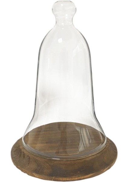 Heykelcik Dekoratif I Için Net Cloche Konteyneri (Yurt Dışından)