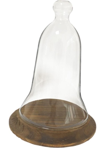 Heykelcik Dekoratif I Için Net Cloche Konteyneri (Yurt Dışından) fiyatları