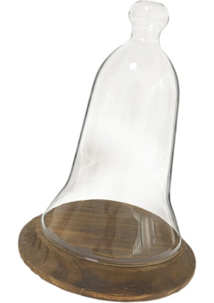 Heykelcik Dekoratif I Için Net Cloche Konteyneri (Yurt Dışından) fırsatları