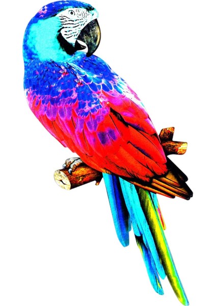 Papağ Figürleri Heykel Kuş Ev Dekorasyonu Için E (Yurt Dışından)