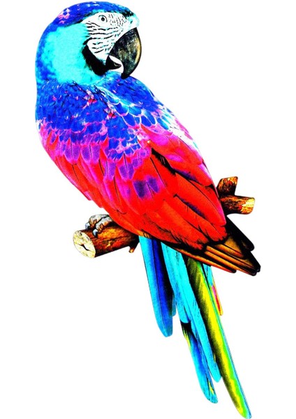 Papağ Figürleri Heykel Kuş Ev Dekorasyonu Için E (Yurt Dışından) fiyatları