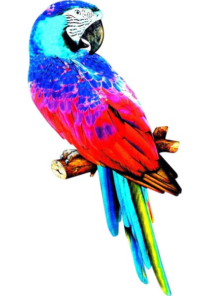 Papağ Figürleri Heykel Kuş Ev Dekorasyonu Için E (Yurt Dışından) modelleri