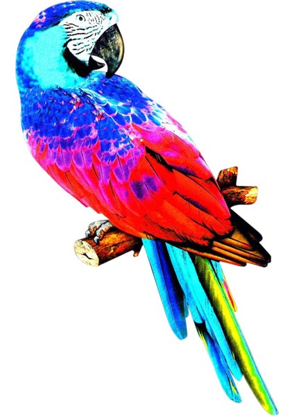 Papağ Figürleri Heykel Kuş Ev Dekorasyonu Için E (Yurt Dışından) fırsatları