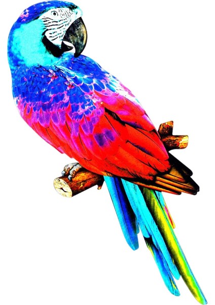 Papağ Figürleri Heykel Kuş Ev Dekorasyonu Için E (Yurt Dışından) indirimleri