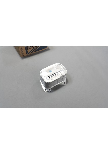 Bmw 1 Serisi F20 F21 2011-2016 N13 Motor Yağ Soğutucu Kale