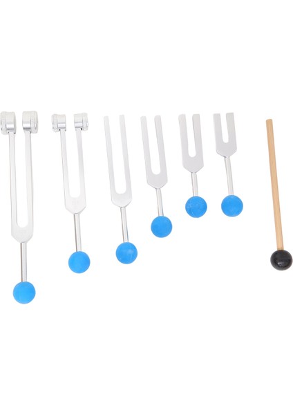 6 Adet 128/256/512/1024/2048/4096Hz Diyapazon Seti Için Diyapazon (Yurt Dışından)