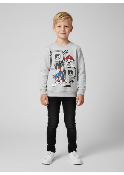 Hayvan Desenli Erkek Çocuk Sweatshirt