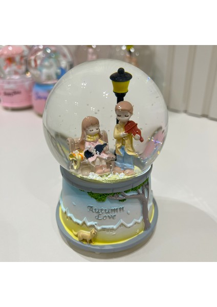 Sevgili Çift Işıklı Müzikli Orta Boy Kar Küresi TKY0397 fiyatları