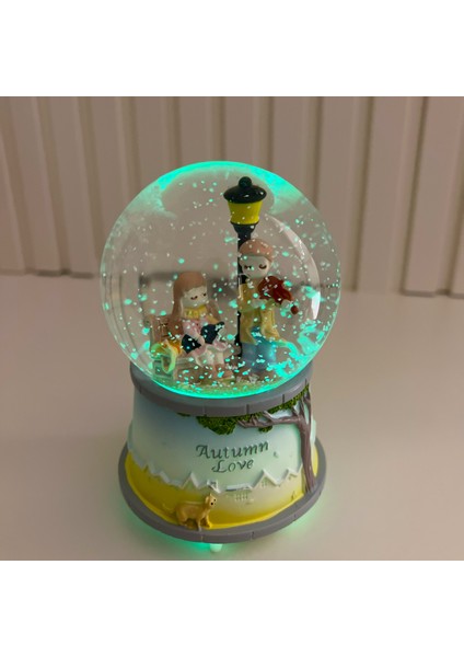 Sevgili Çift Işıklı Müzikli Orta Boy Kar Küresi TKY0397 fırsatları