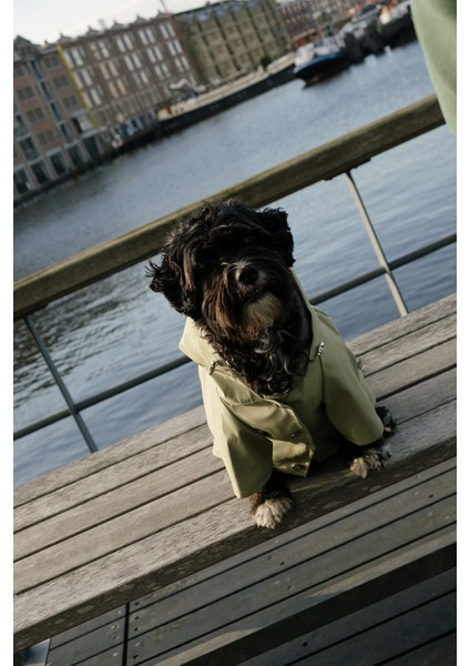 Köpek Yağmurluk - Yeşil modelleri