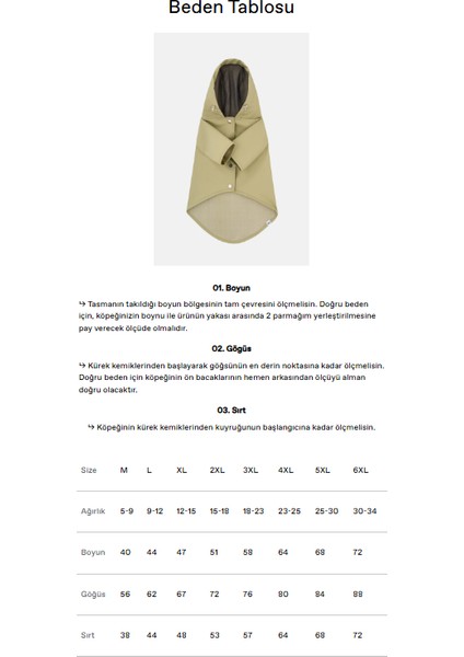 Köpek Yağmurluk - Yeşil fırsatları