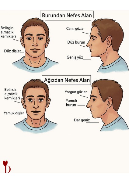 Ağız Bandı 30 Adet, Horlama Önleyici, Nefes Alan Uyku Bandı indirimleri