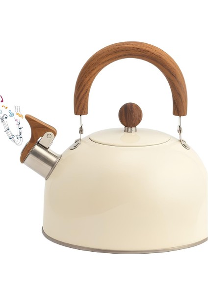 Paslanmaz Çelik Demlik Karma Renk modelleri