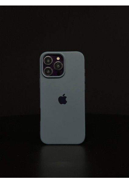 iPhone 11 Uyumlu Renkli Logo Içi Kadife Lüks Lansman Kılıf