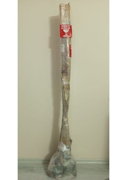 6ADET Meyve Fidanı Paketi( Kayısı-Badem-Elma-Şeftali-Nektarin-Erik) 3YAŞLI130-150CM modelleri