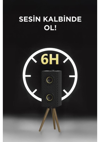 Kablosuz Hoparlör 24W Çift Sürücü, 3000MAH Batarya, Taşınabilir Ayaklı Speaker modelleri