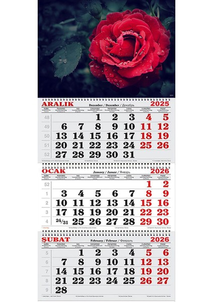 2026 Yılı Gemici Takvimi- Kırmızı Gül