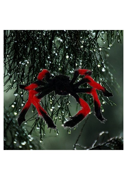 Halloween Örümcek Figür 50 Cm Siyah-Kırmızı modelleri