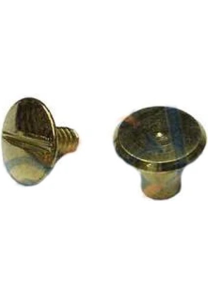 Cilt Menü, Katalog, Kartela Vidası, 6 mm - Sarı, 1 Adet