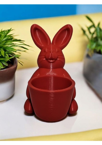 Fincanlı Paskalya Tavşanı Dekoratif Vazo ve Çikolata Kutusu